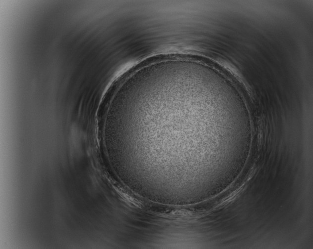 X0000052600974200507160006