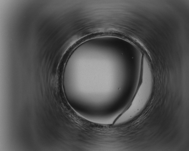 X0000052600975200507160006