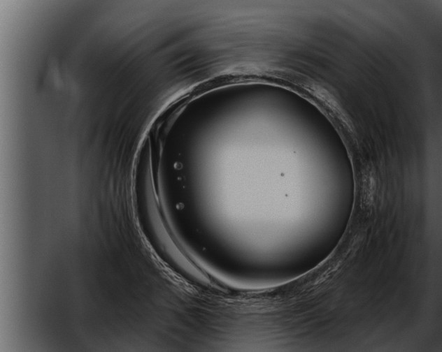 X0000052600976200507160006