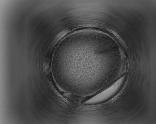 X0000052600977200507160006