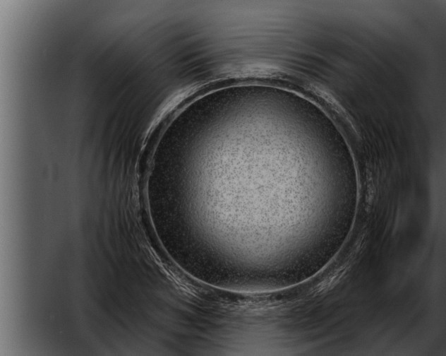 X0000052600978200507160006