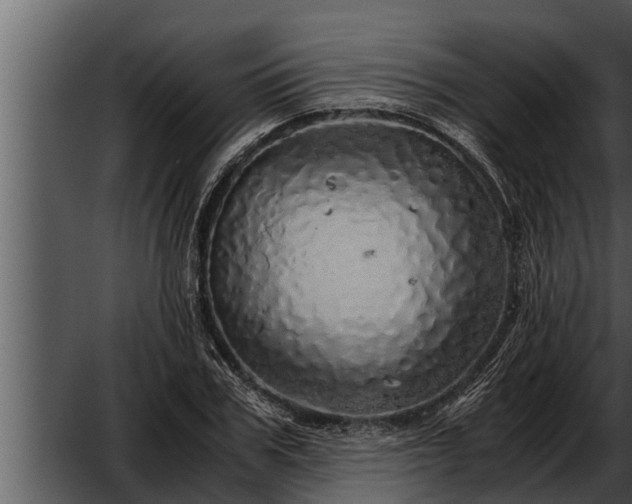 X0000052600979200507160006