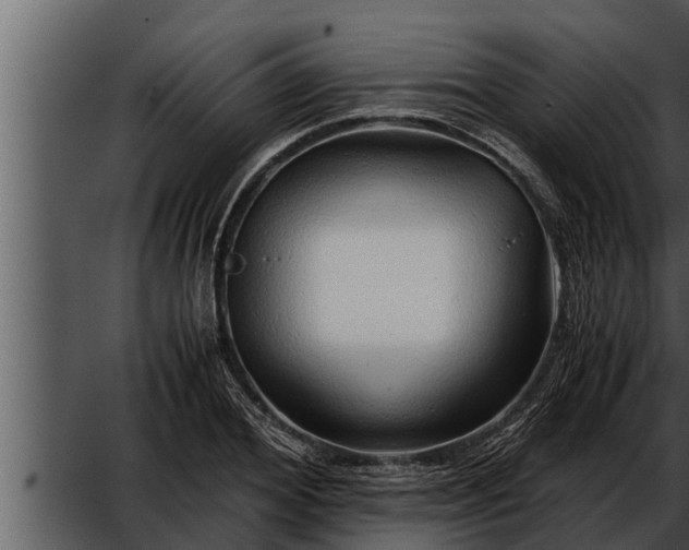 X0000052600980200507160006