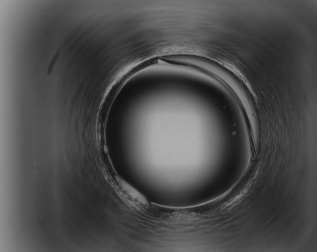 X0000052600981200507160006