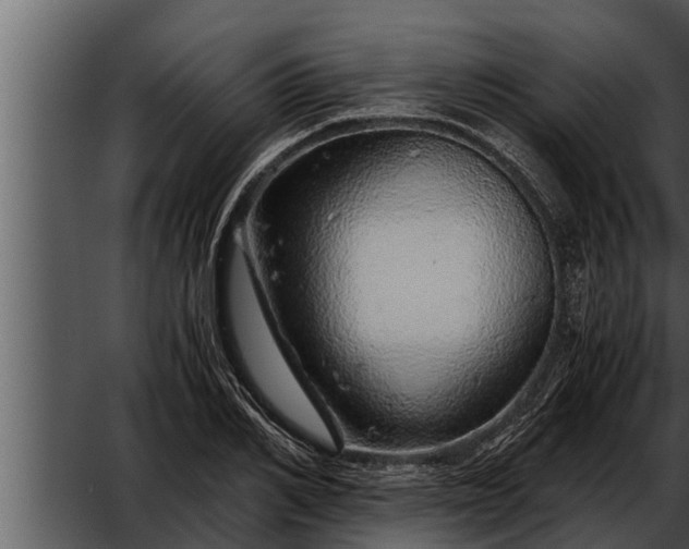 X0000052600982200507160006