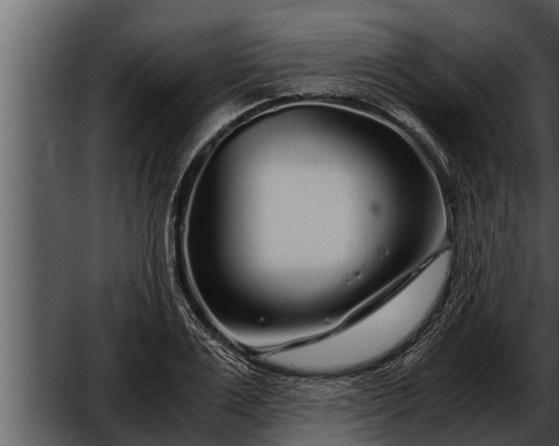 X0000052600983200507160006