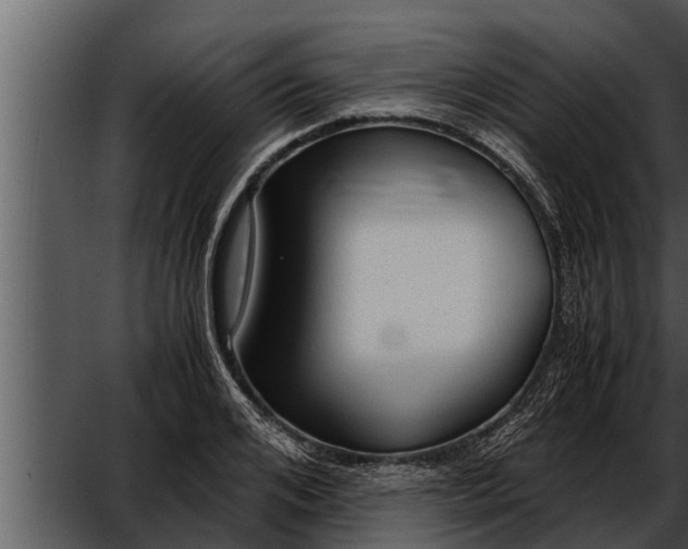 X0000052600984200507160006