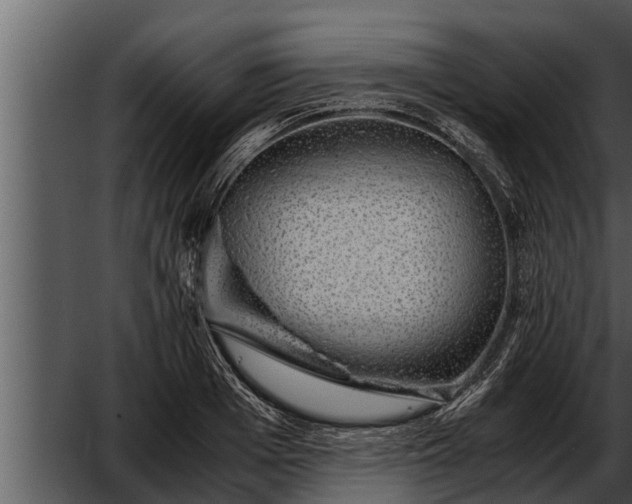 X0000052600985200507160006