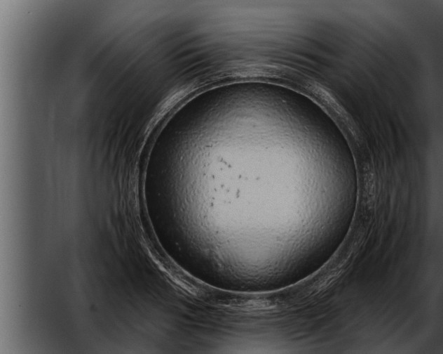 X0000052600986200507160006