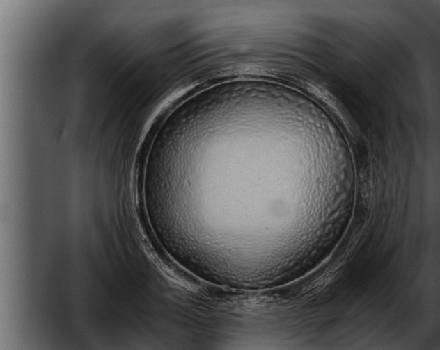 X0000052600987200507160006