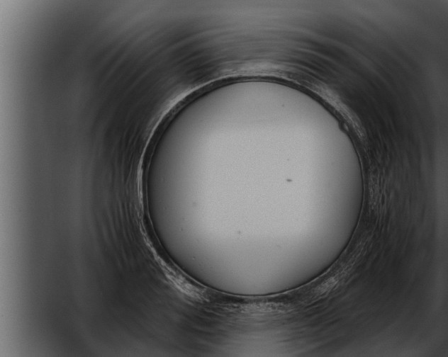 X0000052600988200507160006