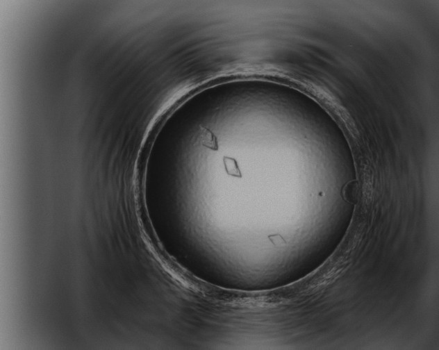 X0000052600990200507160006