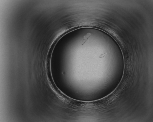 X0000052600991200507160006