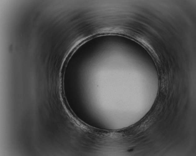 X0000052600992200507160006