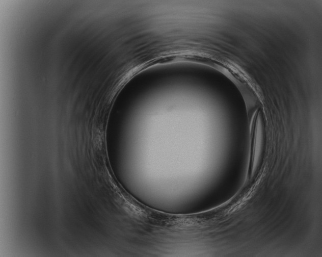 X0000052600993200507160006