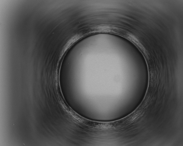 X0000052600994200507160006