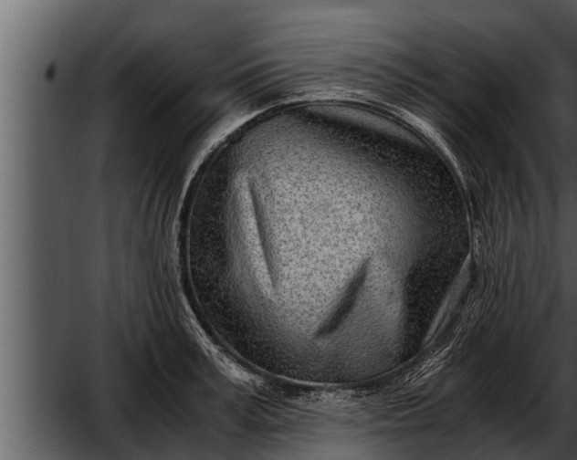 X0000052600995200507160006