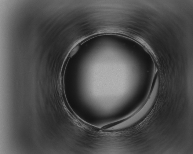 X0000052600996200507160006