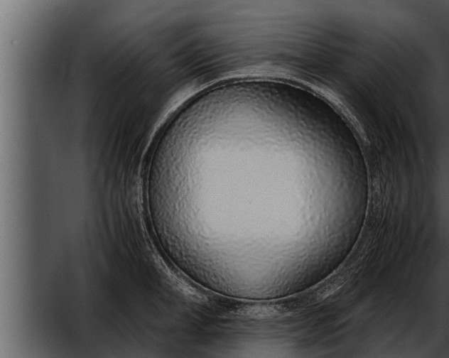 X0000052600998200507160006