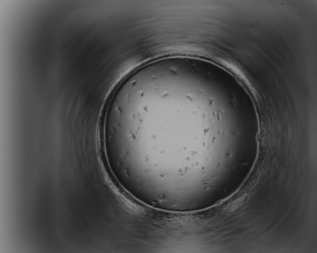 X0000052600999200507160006