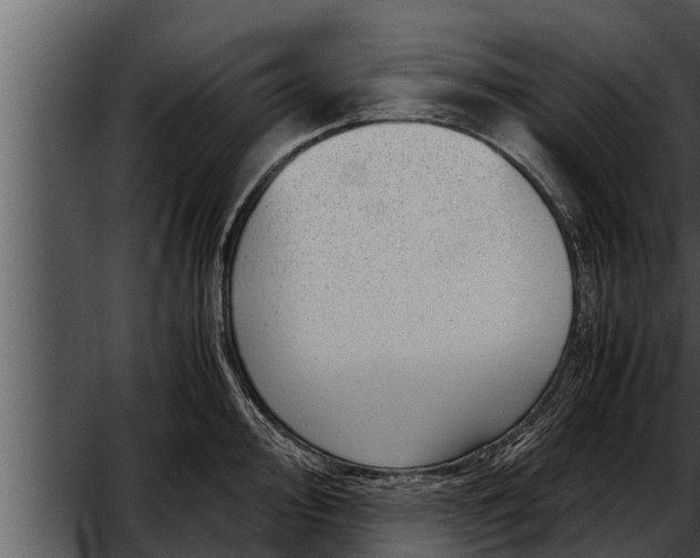 X0000052601000200507160006