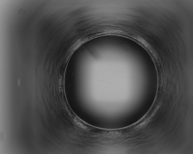 X0000052601001200507160006