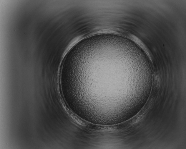 X0000052601002200507160006