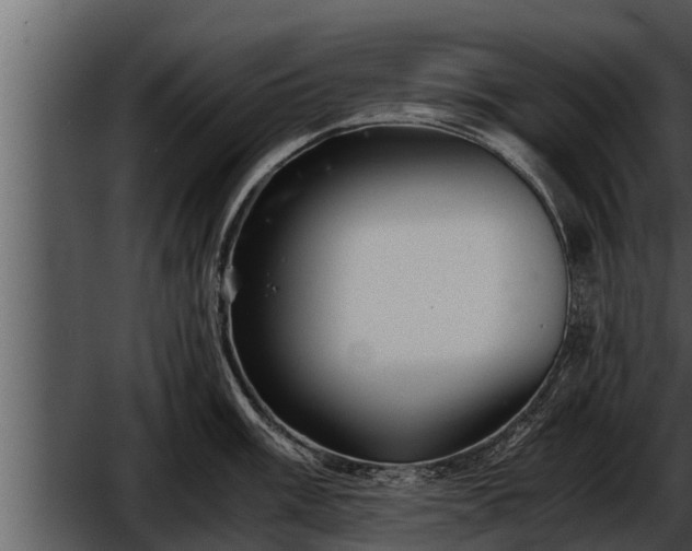 X0000052601003200507160006