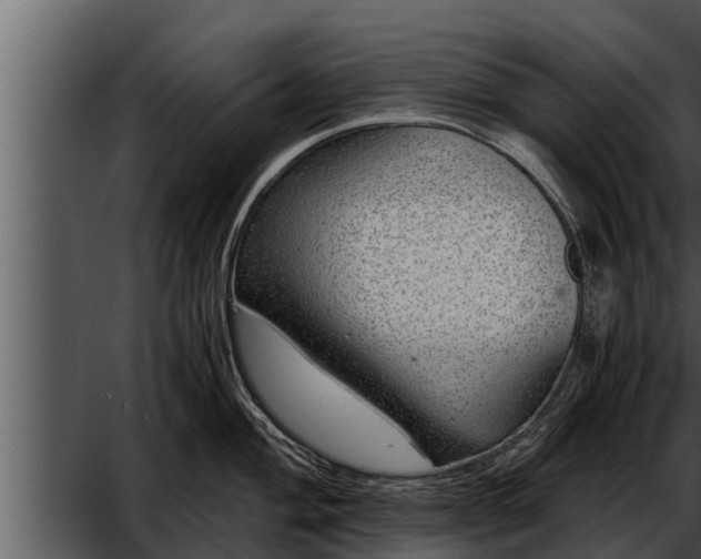 X0000052601004200507160006