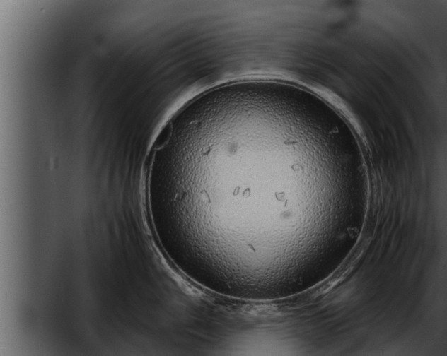 X0000052601006200507160006