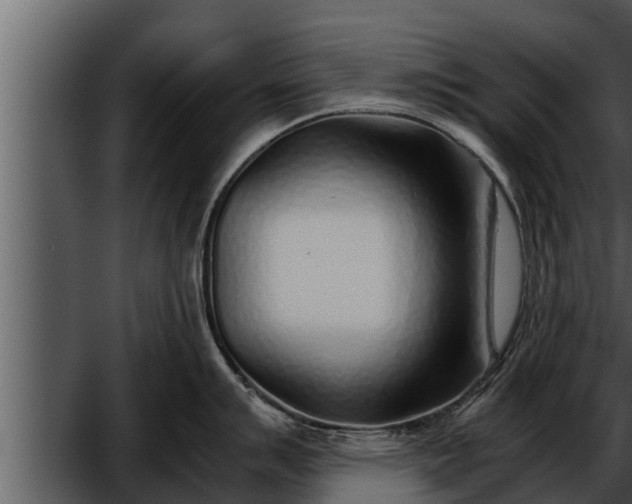 X0000052601007200507160006