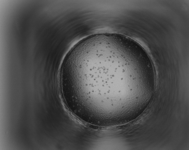 X0000052601008200507160006