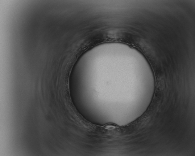 X0000052601009200507160005