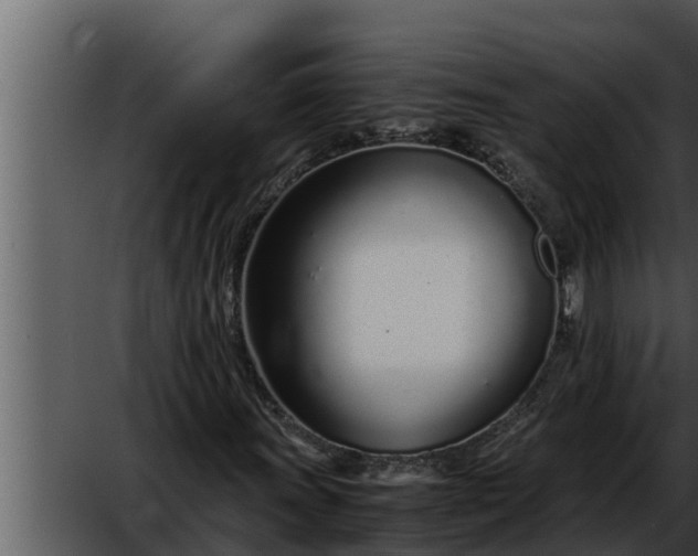 X0000052601011200507160005