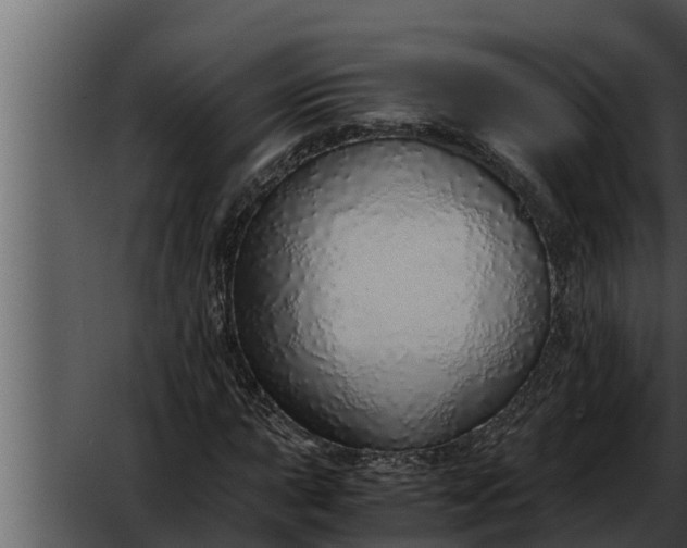 X0000052601015200507160005