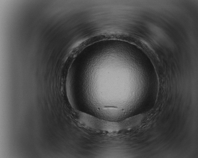 X0000052601016200507160005