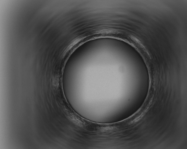 X0000052601017200507160005