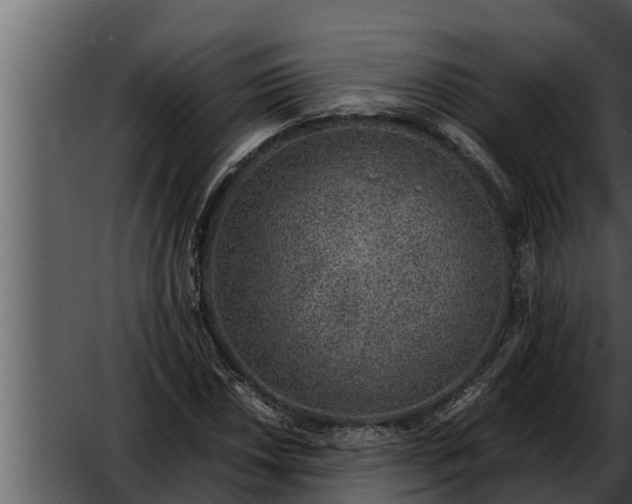 X0000052601018200507160005