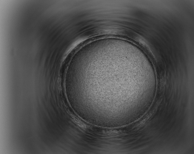 X0000052601019200507160005