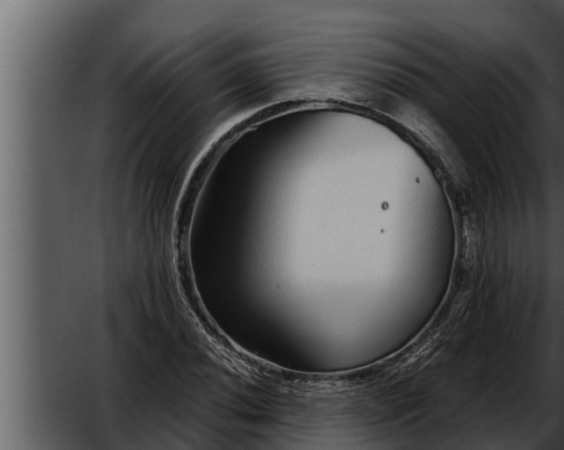 X0000052601020200507160005