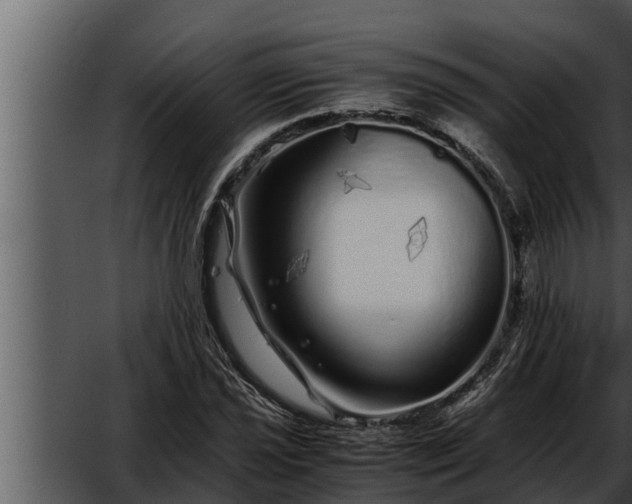 X0000052601021200507160005