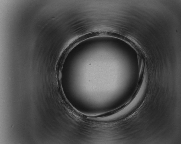 X0000052601022200507160005