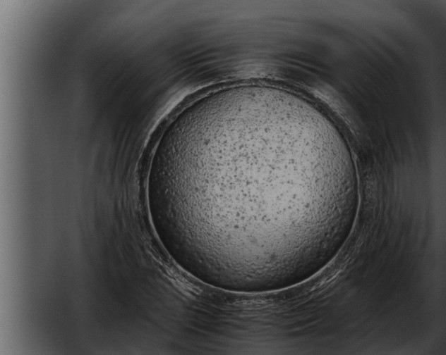 X0000052601023200507160005