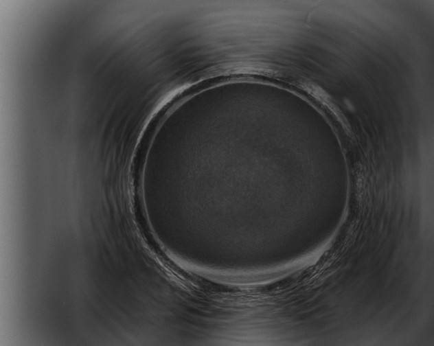 X0000052601024200507160005