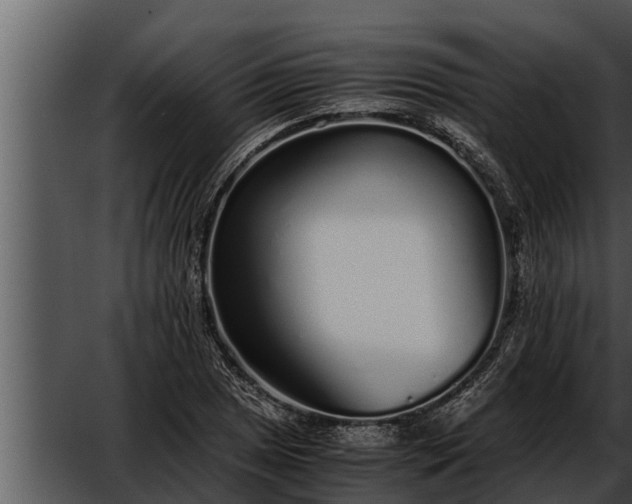 X0000052601025200507160005