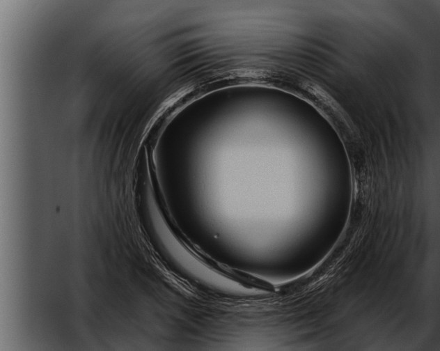 X0000052601026200507160005