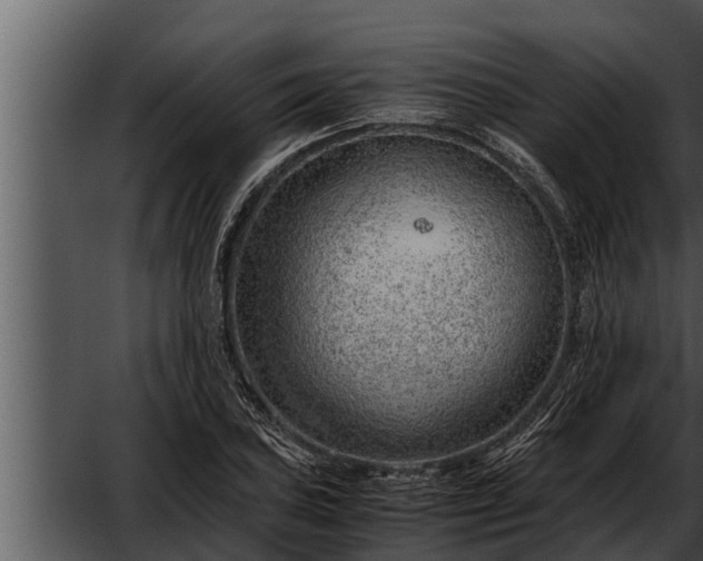 X0000052601027200507160005