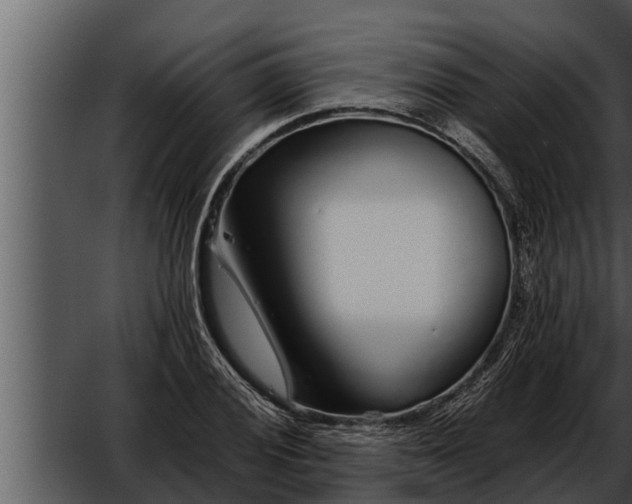 X0000052601028200507160005