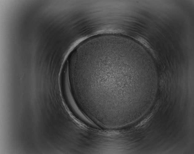 X0000052601030200507160005