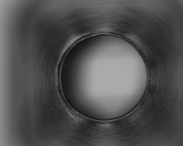 X0000052601031200507160005